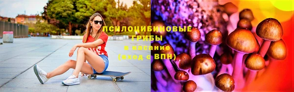 сатива Инта