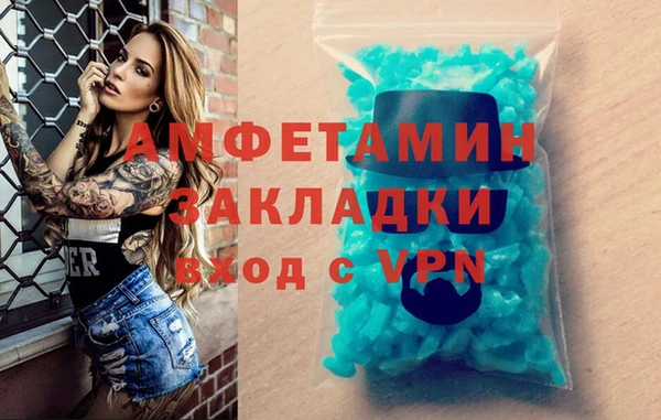 сатива Инта