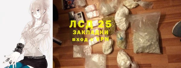 ешки Каменногорск