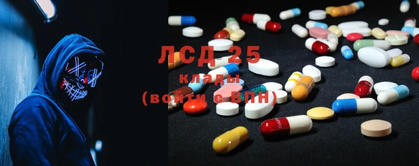 сатива Инта
