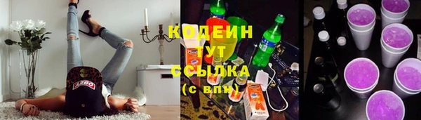 МДПВ Иннополис