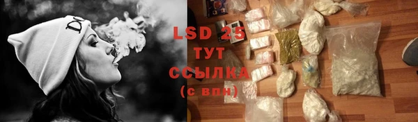 сатива Инта