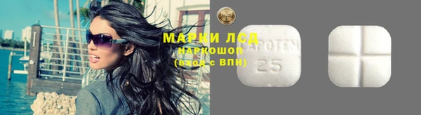 сатива Инта