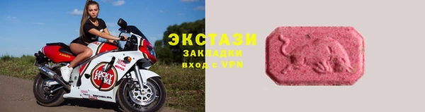 сатива Инта