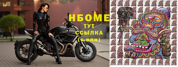 сатива Инта