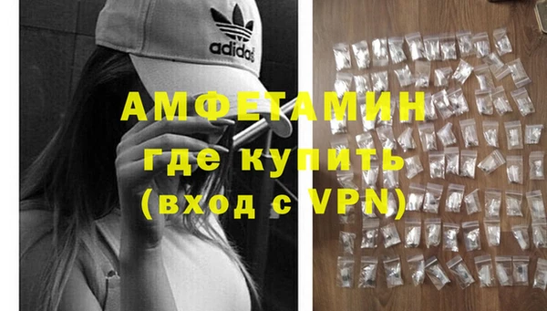 сатива Инта