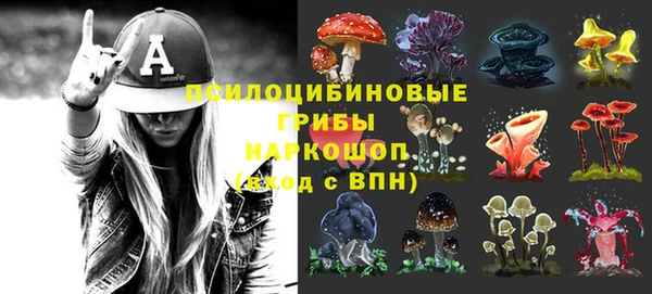 круглые Инсар
