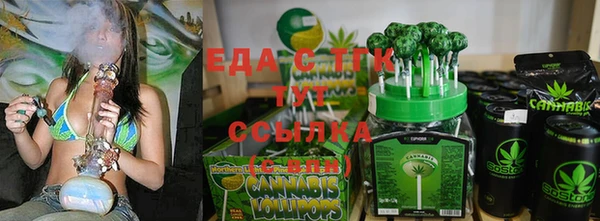 сатива Инта