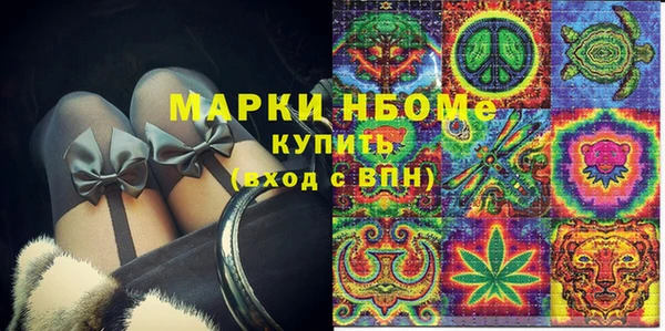 сатива Инта