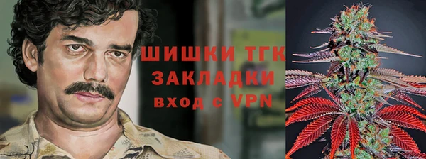 сатива Инта