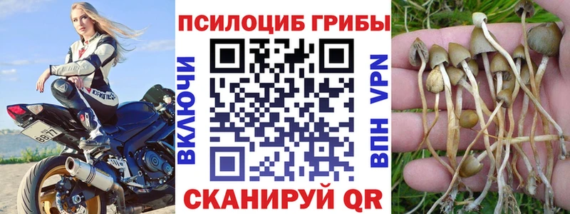 Псилоцибиновые грибы Psilocybine cubensis Купить закладки Пласт